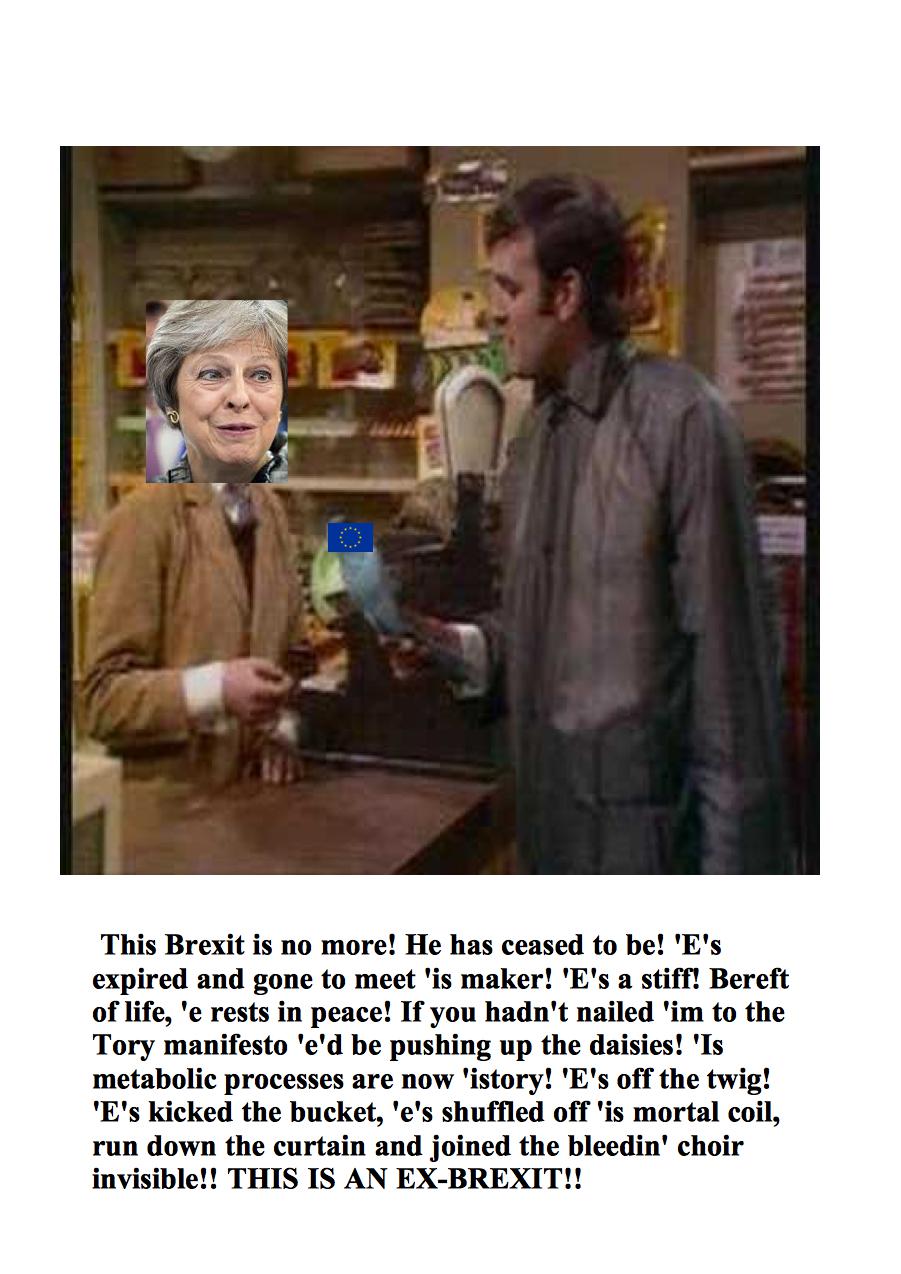 ex brexit picture2