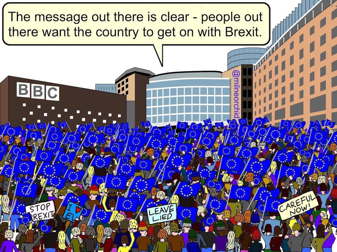 bbc brexit cartoon
